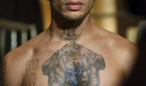 Veja fotos do presidiário gato que recebia nudes na penitenciária