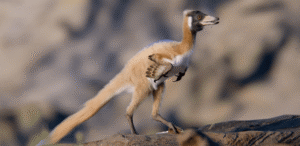 Dinossauro minúsculo ajuda cientistas a desvendar mistérios da evolução