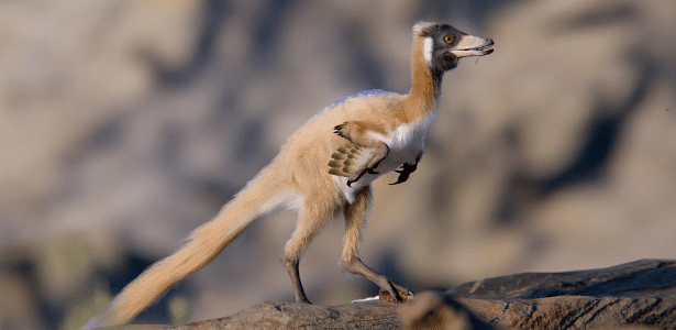 Dinossauro minúsculo ajuda cientistas a desvendar mistérios da evolução