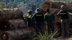 Agentes do Ibama são alvo de emboscada e tiros durante fiscalização no Amazonas