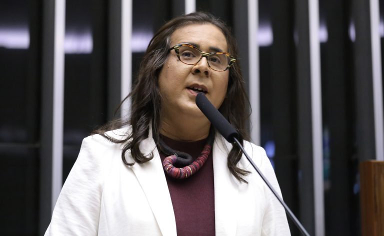 Deputada Duda Salabert (PDT-MG) fala no Plenário da Câmara dos Deputados