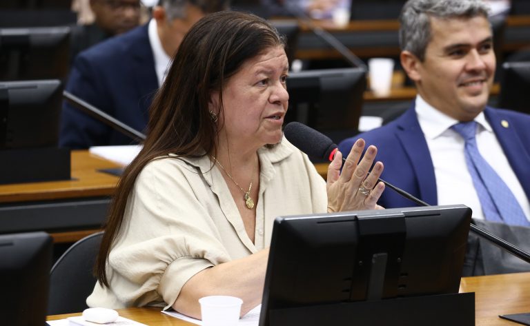 Discussão e votação de propostas legislativas. Dep. Laura Carneiro (PSD-RJ)