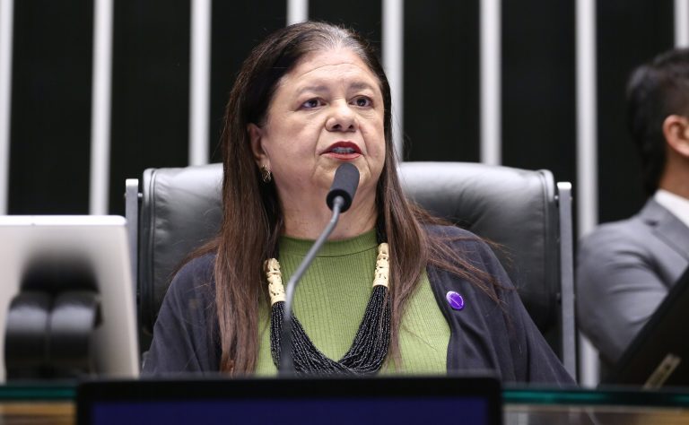 Deputada Laura Carneiro (PSD-RJ) no Plenário da Câmara dos Deputados