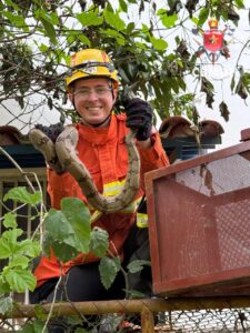 Jiboia de 1,5 metro é resgatada pelos bombeiros no Jardim Botânico