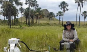 Estudo revela estoques de carbono no Cerrado seis vezes maiores que na Amazônia