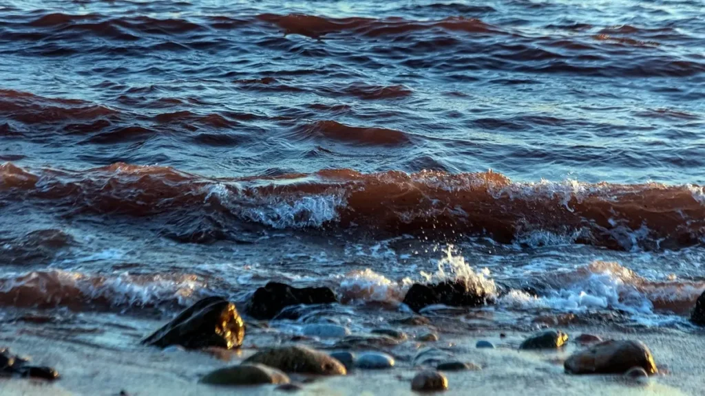 Estreito de Ormuz está aberto para todos, menos para aliados dos EUA, diz chanceler iraniano