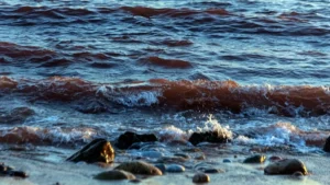 Estreito de Ormuz está aberto para todos, menos para aliados dos EUA, diz chanceler iraniano