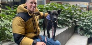 Australiano recorre à IA para desenvolver vacina que salve sua cadela do câncer