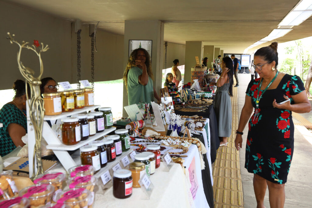Feira Raízes do Entorno celebra Dia da Mulher e impulsiona artesãs da Ride