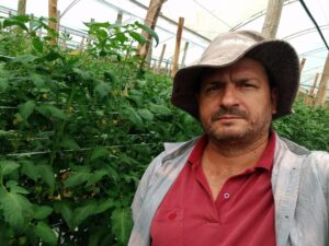 Pequenos produtores impulsionam abastecimento de hortaliças no DF