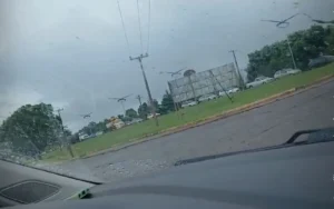 Motoristas formam filas em posto de combustíveis em Maurilândia após relatos de possível falta de gasolina