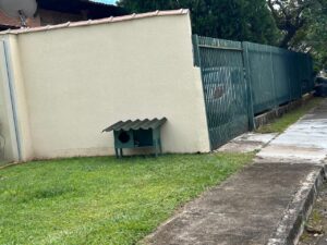 Moradores denunciam retirada de abrigos para gatos em condomínio no DF