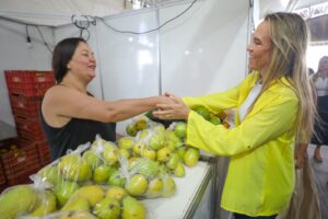 Governadora Celina Leão visita 11ª Feira da Goiaba em Brazlândia