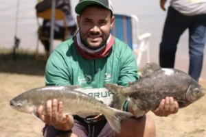 Veja onde haverá pescaria de graça na Semana Santa, em Goiás