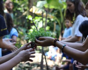 Projeto belga integra arte e educação ambiental em escola do DF