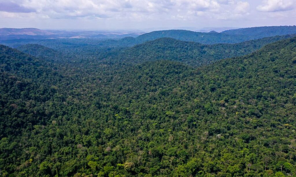 Edital destina R$ 1,8 mi para inovações sustentáveis na Amazônia