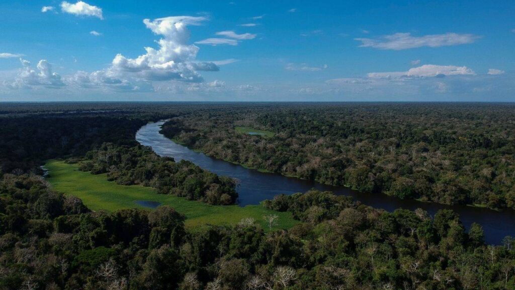 Estudo de 22 anos na Amazônia refuta tese de savanização