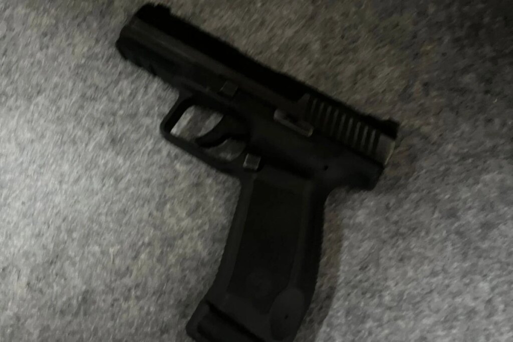 Bombeiro mata cachorro após ataque em estacionamento em GO