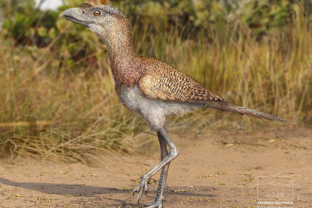 Brasileiros encontram espécie mais recente das ‘aves do terror’