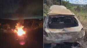 Corpo de pastor italiano é encontrado após emboscada no DF