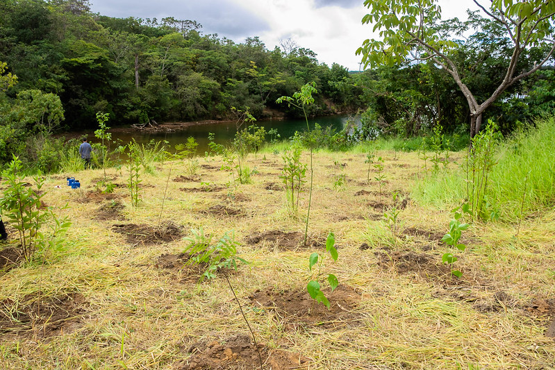 GDF cria Parque Distrital da Serrinha para proteger nascentes no Lago Norte