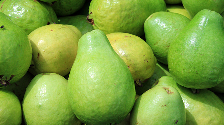 Embrapa promove feira de diversidade alimentar em Brasília