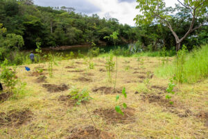 GDF cria Parque Distrital da Serrinha no Lago Norte para proteção ambiental