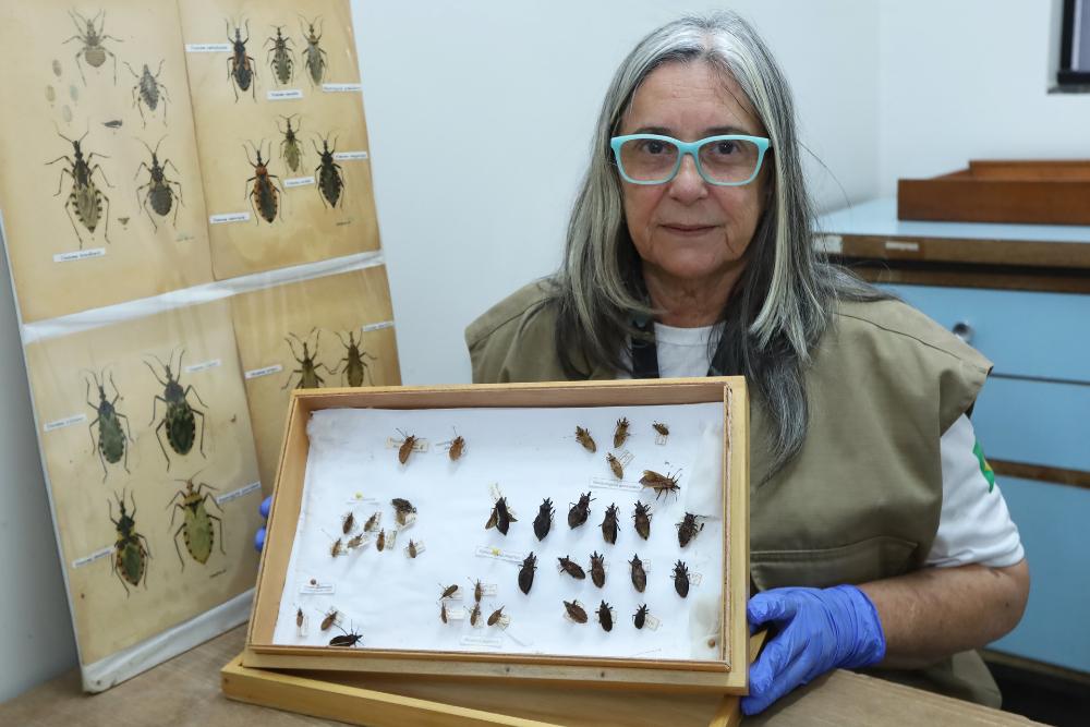 Conscientização sobre doença de Chagas reforça prevenção no DF