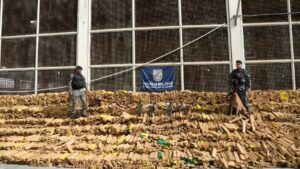 Cão leva Polícia a fazer apreensão recorde de 48 toneladas de maconha no Rio