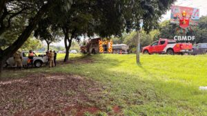 Motorista fica ferido após colidir com árvore na EPIA Norte