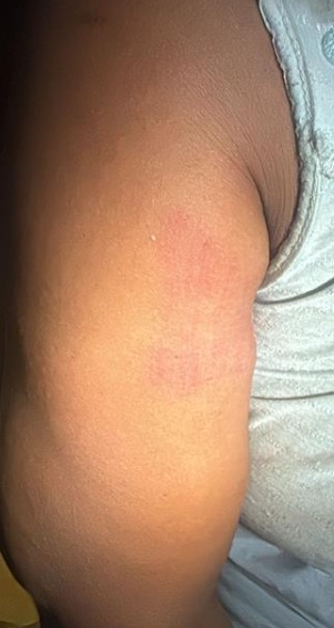 Homem é preso após agredir avó e tia durante ocorrência de violência doméstica no DF