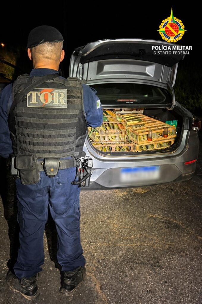 Mais de 300 aves são resgatadas de transporte irregular em Planaltina