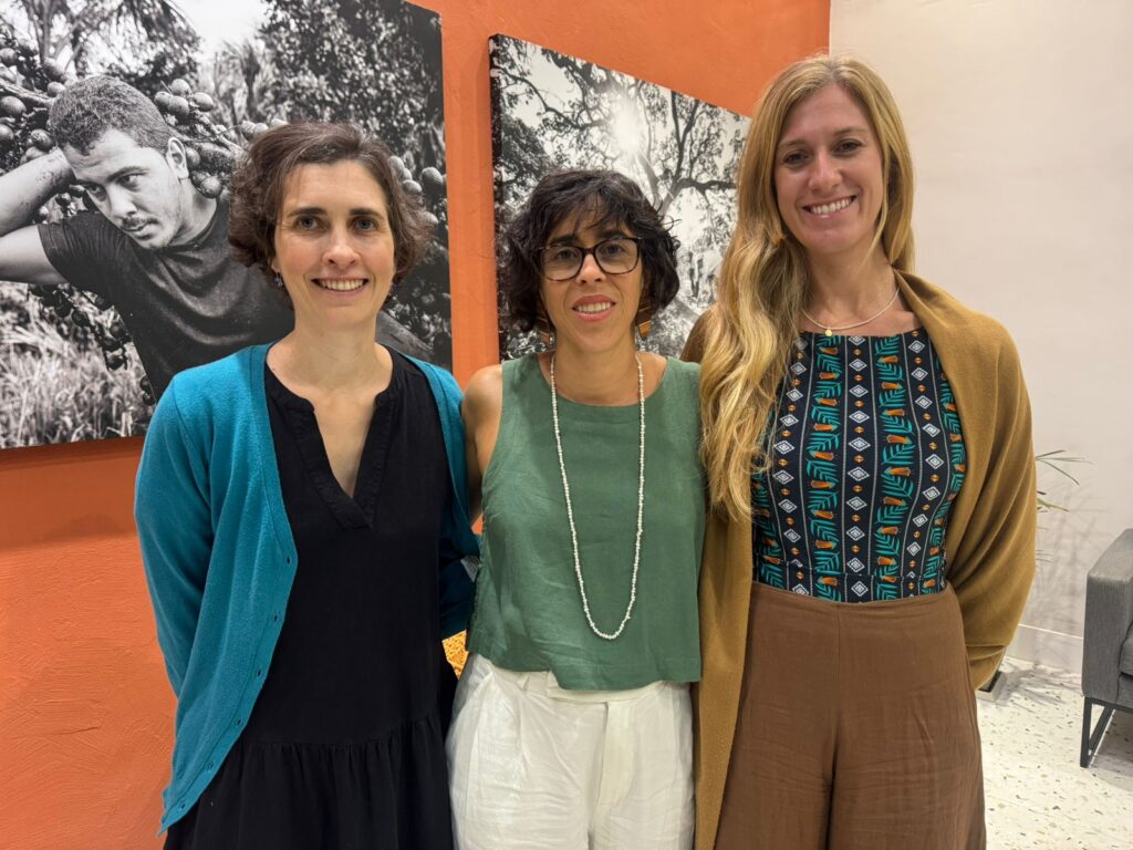 Observatório Socioambiental lança ferramenta que conecta desmatamento e violência no campo