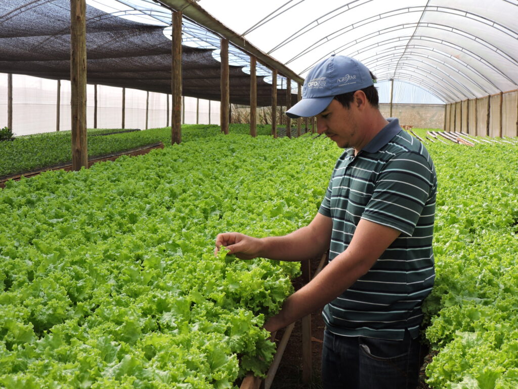 Emater-DF divulga relatório de produção agropecuária de 2025