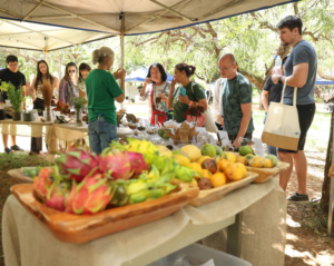 Debate sobre PAA reforça segurança alimentar na Feira da Embrapa