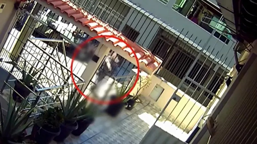 São afastados seis agentes que viram PM matando duas mulheres a tiros no ES