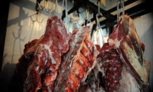 China suspende importações de carne bovina de frigorífico da Frigosul em MT