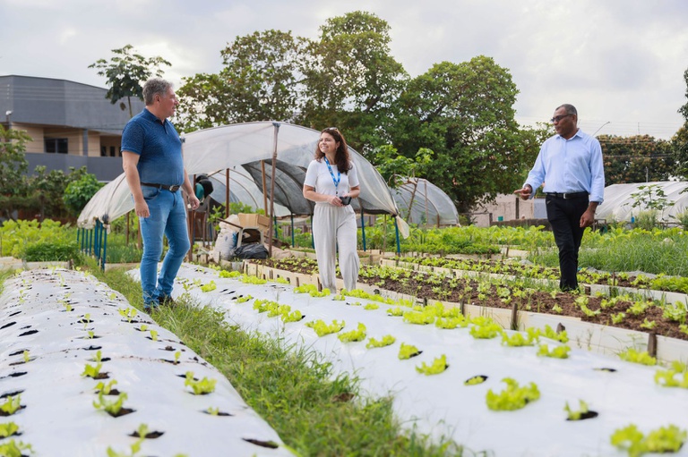 Mais de mil municípios integram nova etapa da Estratégia Alimenta Cidades