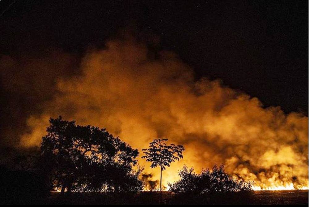 Em março, Roraima registra mais de um terço de todas as queimadas do Brasil