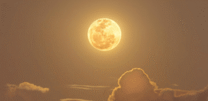 Qual a fase da Lua hoje (1º)? Veja calendário lunar de abril de 2026