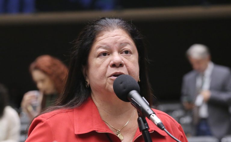 Discussão e votação de propostas legislativas. Dep. Laura Carneiro (PSD - RJ)