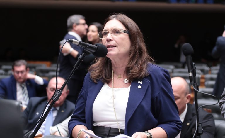 Discussão e votação de propostas legislativas. Dep. Bia Kicis (PL - DF)