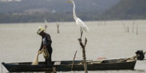 Mudanças aprovadas para o seguro-defeso previnem fraudes, diz relator