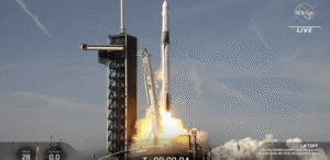 Apesar de abertura de capital, Musk e insiders manterão controle sobre SpaceX