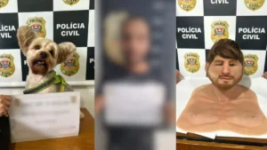 Homem usa máscara realista para furtar cão da ex e tentar forçar retirada de denúncia em SP