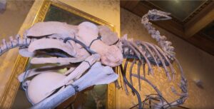 Museu de Amsterdã transforma vestígios pré-históricos em peças artísticas