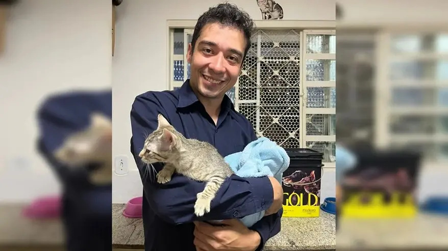 Homem condenado a 9 anos por maus-tratos a 17 gatos em Brasília