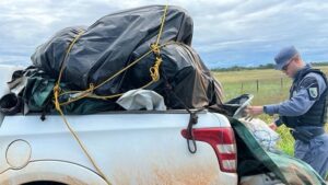 Quatro são presos com carga de grude de peixe avaliada em R$ 1 mi no Amapá