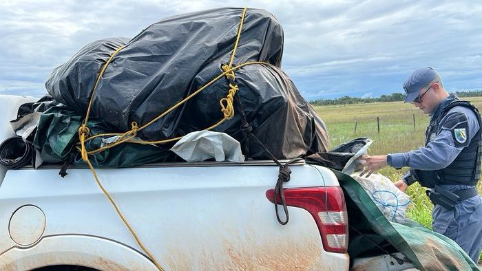 Quatro são presos com carga de grude de peixe avaliada em R$ 1 mi no Amapá