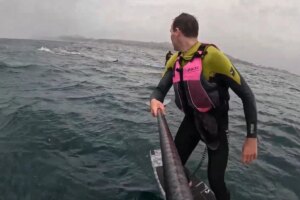 Surfistas são perseguidos por tubarão nos Estados Unidos